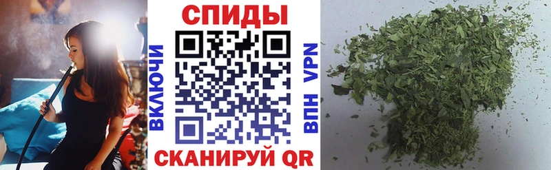 гидра зеркало  где продают   Грайворон  БУТИРАТ BDO 