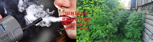 ПСИЛОЦИБИНОВЫЕ ГРИБЫ Алексеевка
